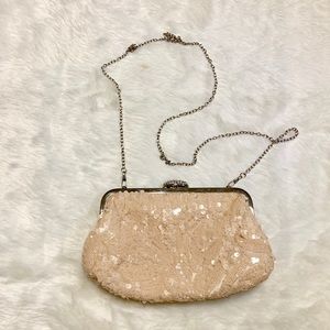 Champagne Sequin Clutch